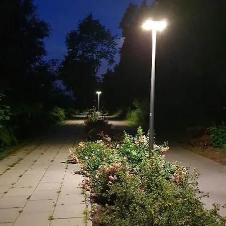 Z Ogrodem